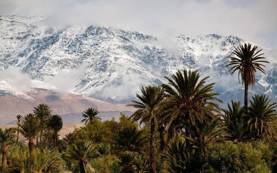 M'chouneche, Biskra... !