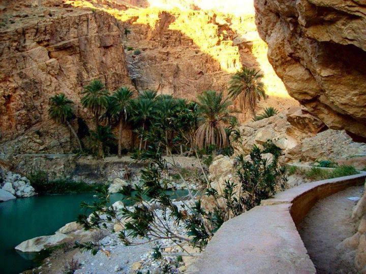 M'chouneche, Biskra... !