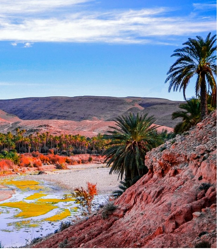 M'chouneche, Biskra... !