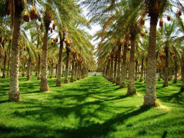 Le coup de foudre pour le Sud algérien..!