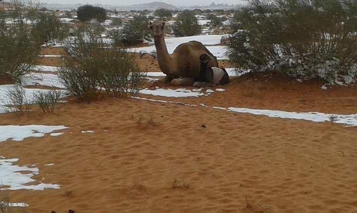 Le coup de foudre pour le Sud algérien..!