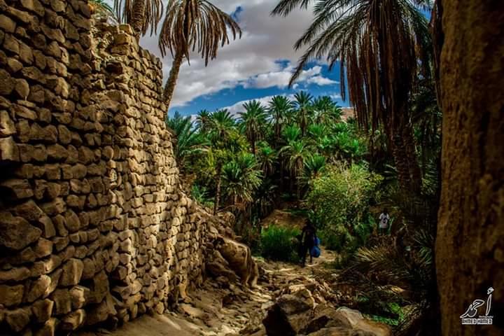 Ksours Negrine de Tébessa : Un patrimoine matériel témoin du génie architectural local.... !