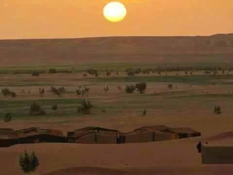 Ksours Negrine de Tébessa : Un patrimoine matériel témoin du génie architectural local.... !