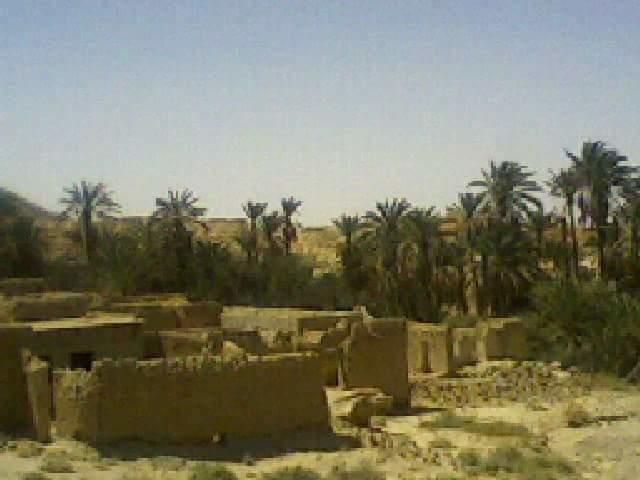 Ksours Negrine de Tébessa : Un patrimoine matériel témoin du génie architectural local.... !