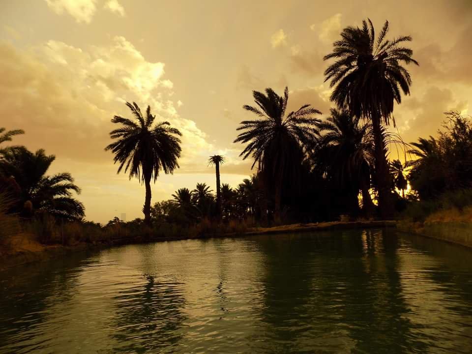 Ksours Negrine de Tébessa : Un patrimoine matériel témoin du génie architectural local.... !