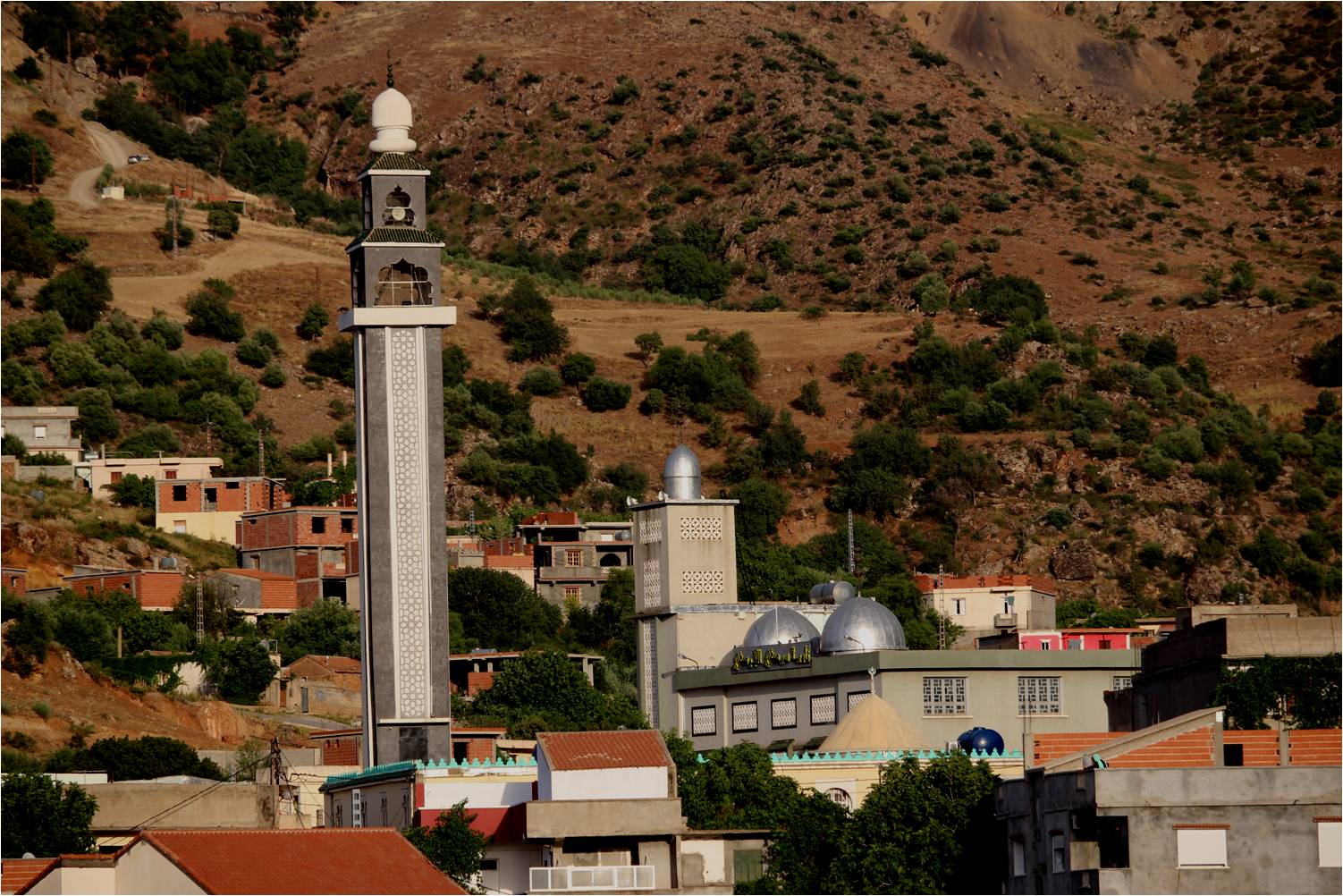 زاوية سيدي الجودي-  بلدية حمام قرقور