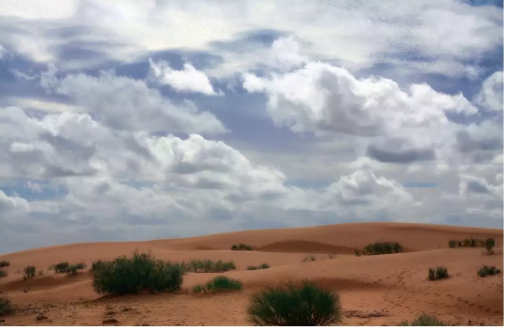 Les steppes Algériennes...!