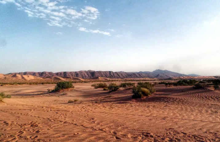 Les steppes Algériennes...!