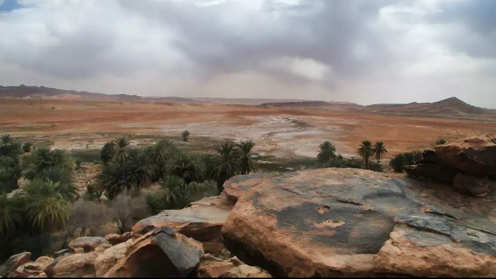 Les steppes Algériennes...!