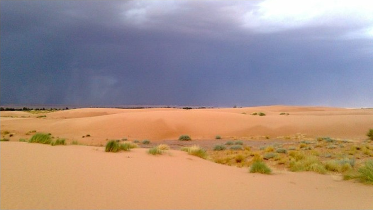 Les steppes Algériennes...!