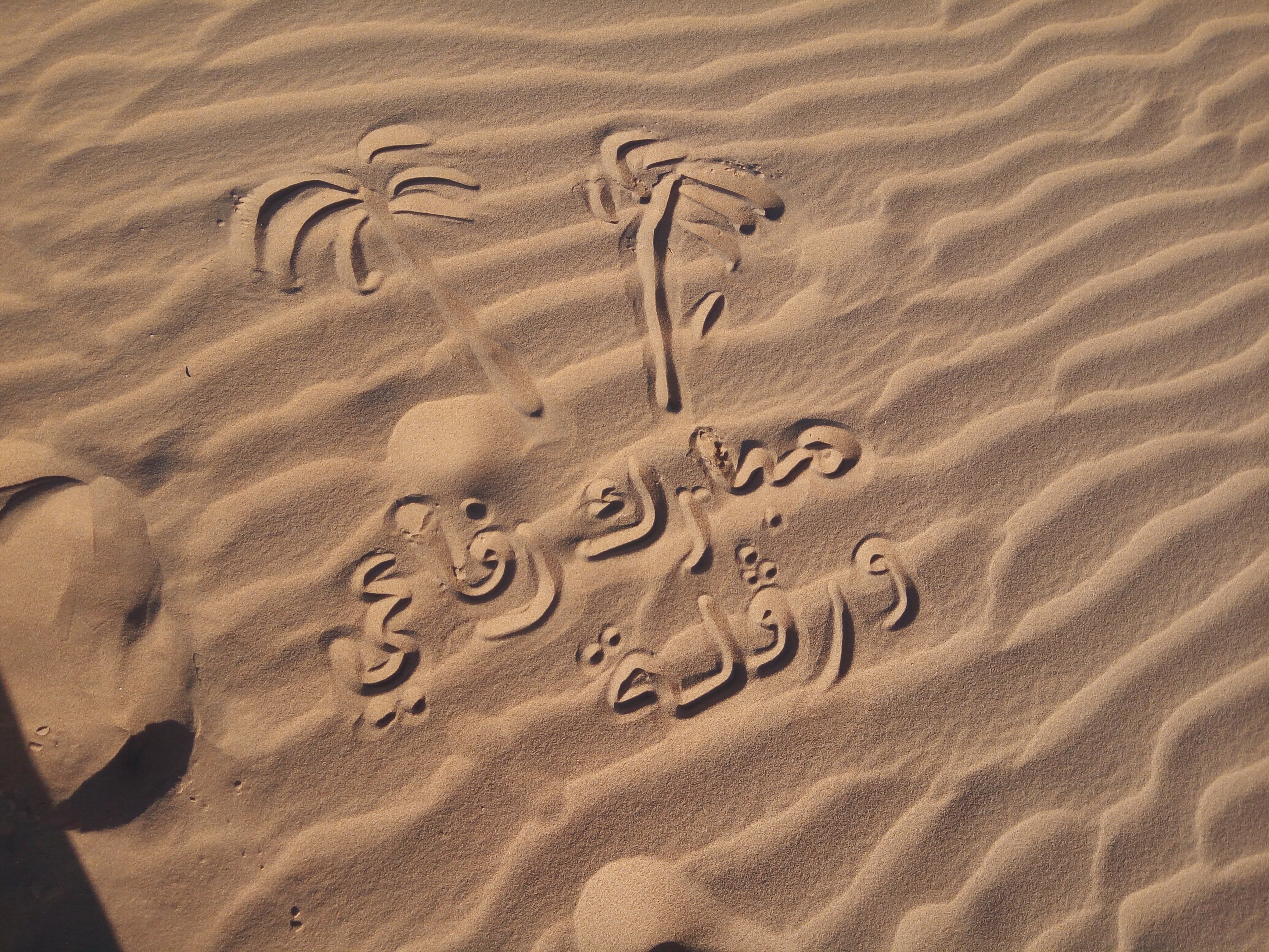 Les Dunes de Sable 2