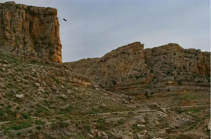 Tébessa: découverte de nouveaux sites archéologiques dans la région de 