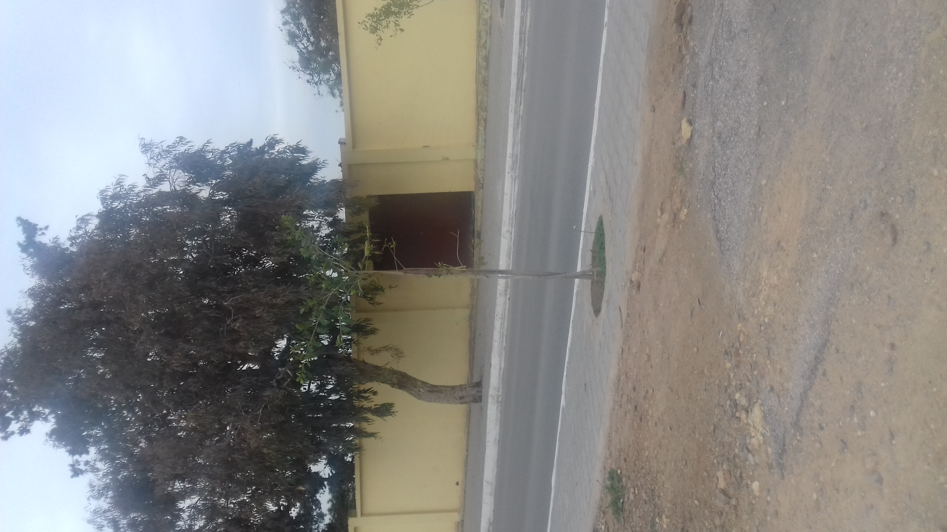 Cimetière de relizane