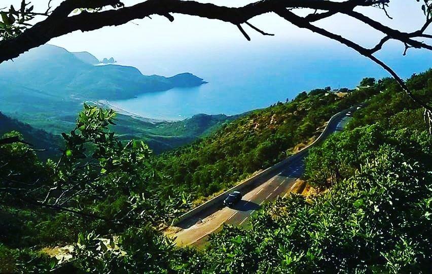 Bonjour, de #Seraïdi hashtag#Annaba... !