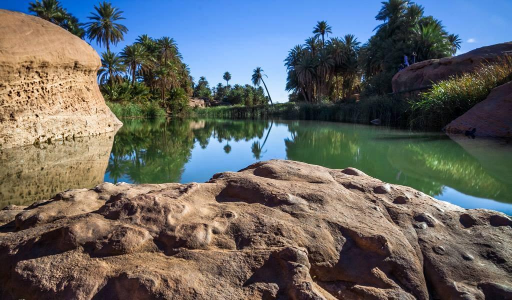 Tiout, une Oasis en quête de revalorisation... !