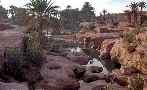 Tiout, une Oasis en quête de revalorisation... !