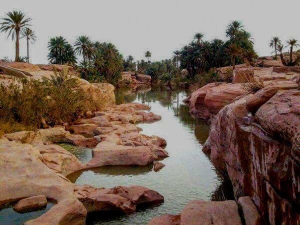 Tiout, une Oasis en quête de revalorisation... !