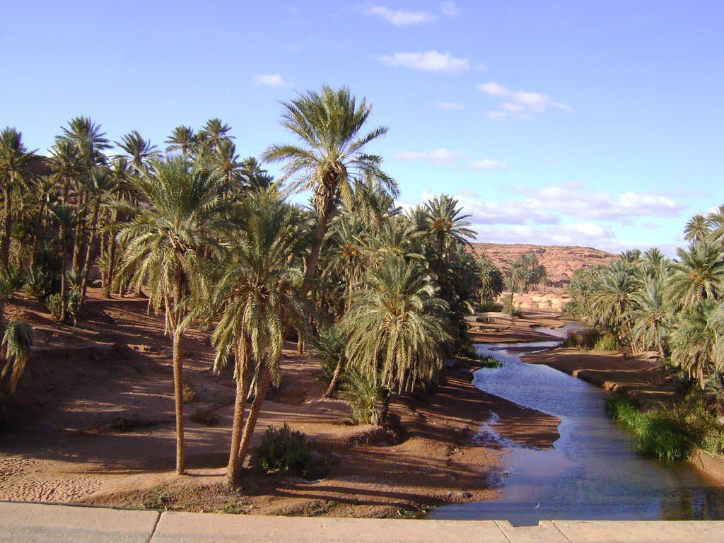 Tiout, une Oasis en quête de revalorisation... !