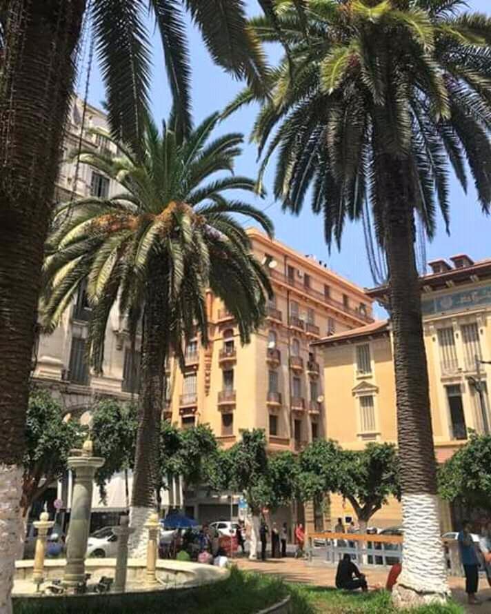 Oran avec des yeux et des images d'amateurs  !