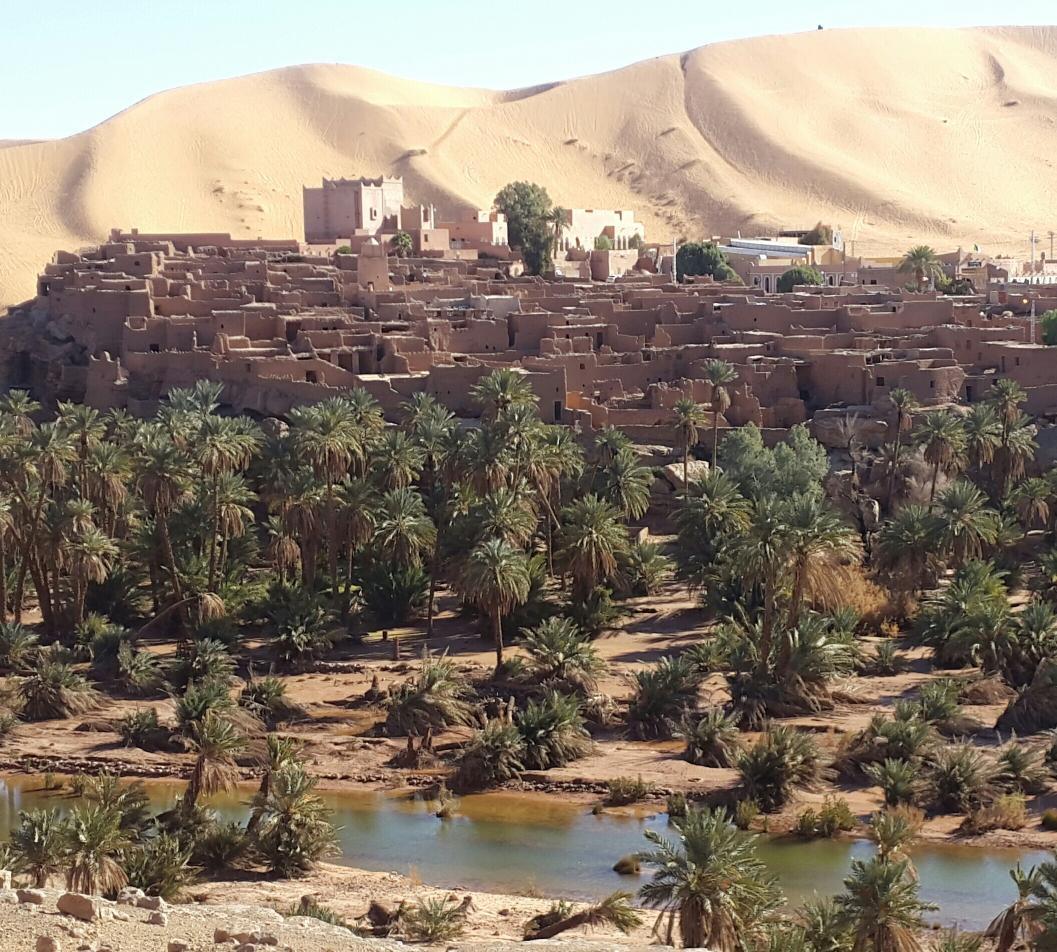 Le schéma de protection et de sauvegarde des stations de gravures rupestres de la région de Taghit... !