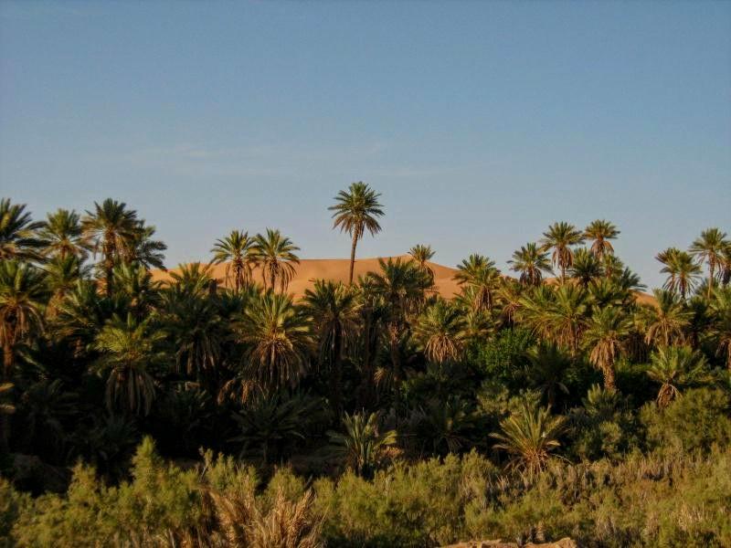 Un village touristique à Touzdit, Igli- Béchar...!