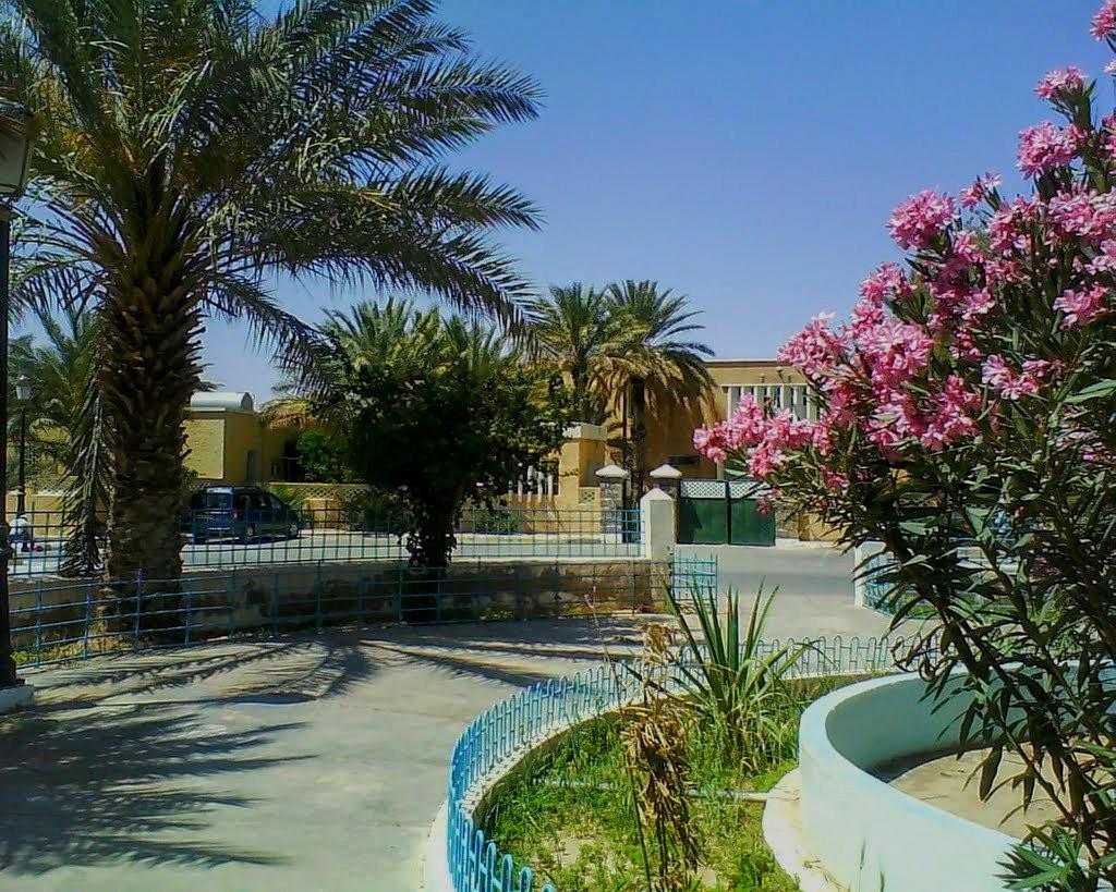 Un village touristique à Touzdit, Igli- Béchar...!