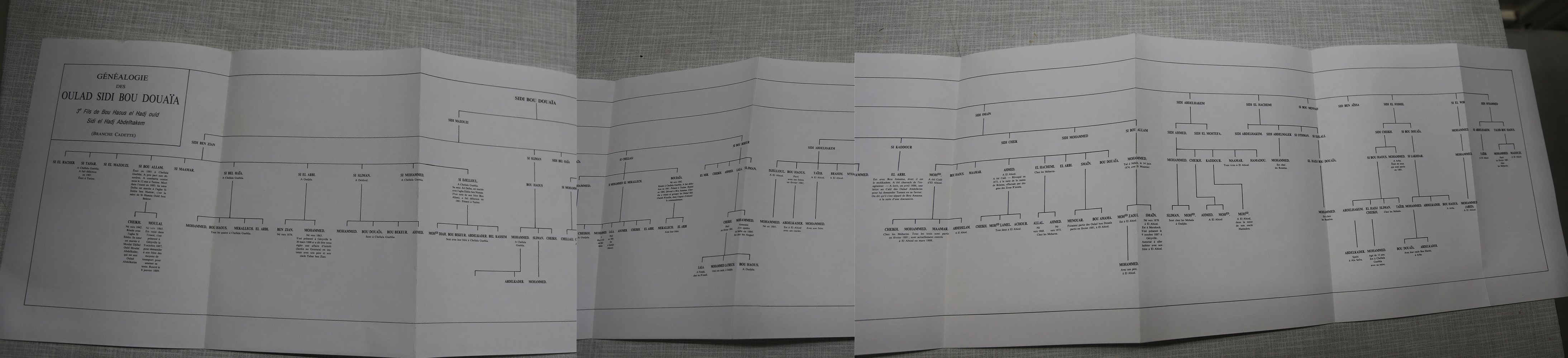 Généalogie des Oulad Sidi Bou Douaïa