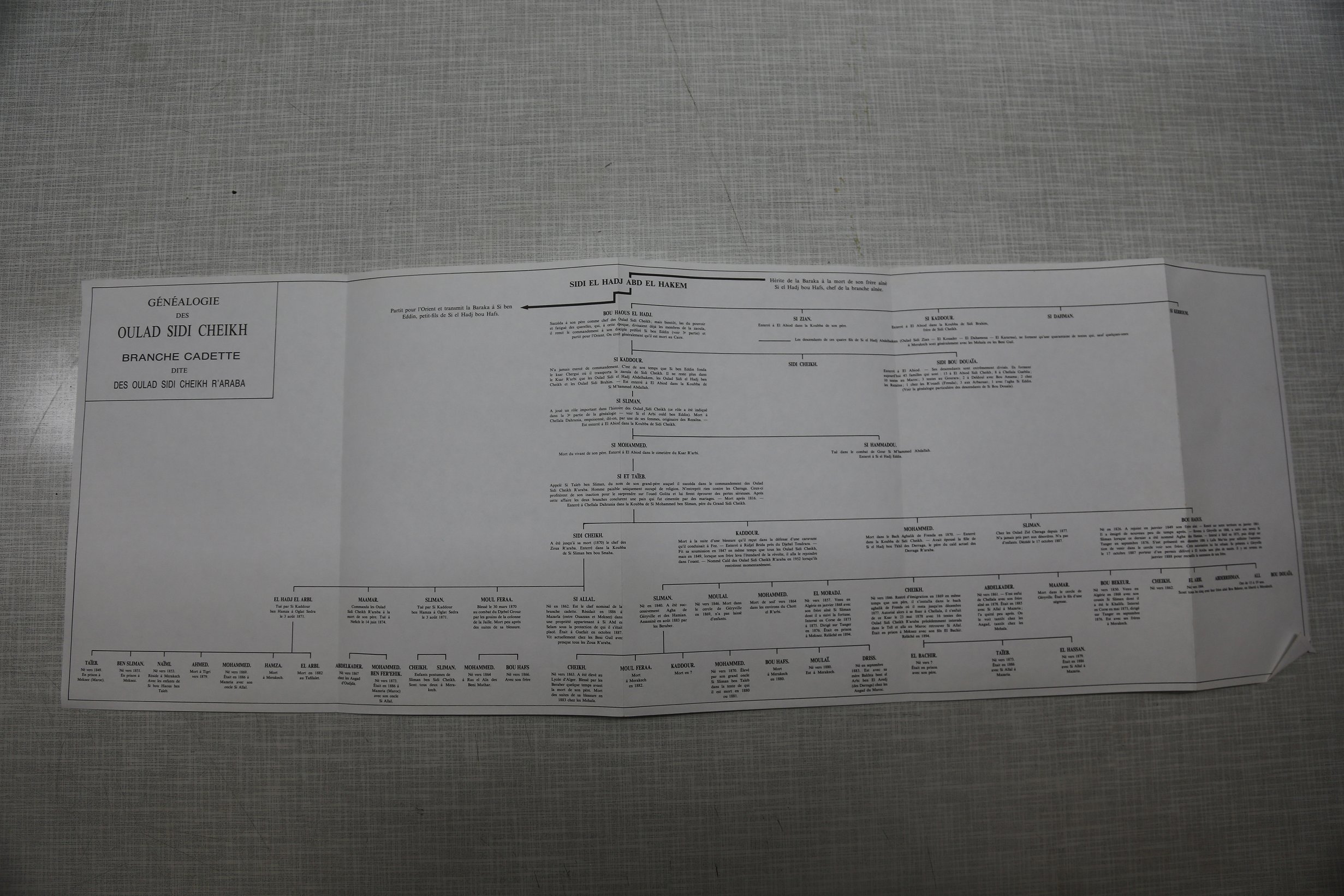 Généalogie des Ouled Sidi Cheikh (Branche cadette) Dite des Oulad Sidi Chikh Rrarba