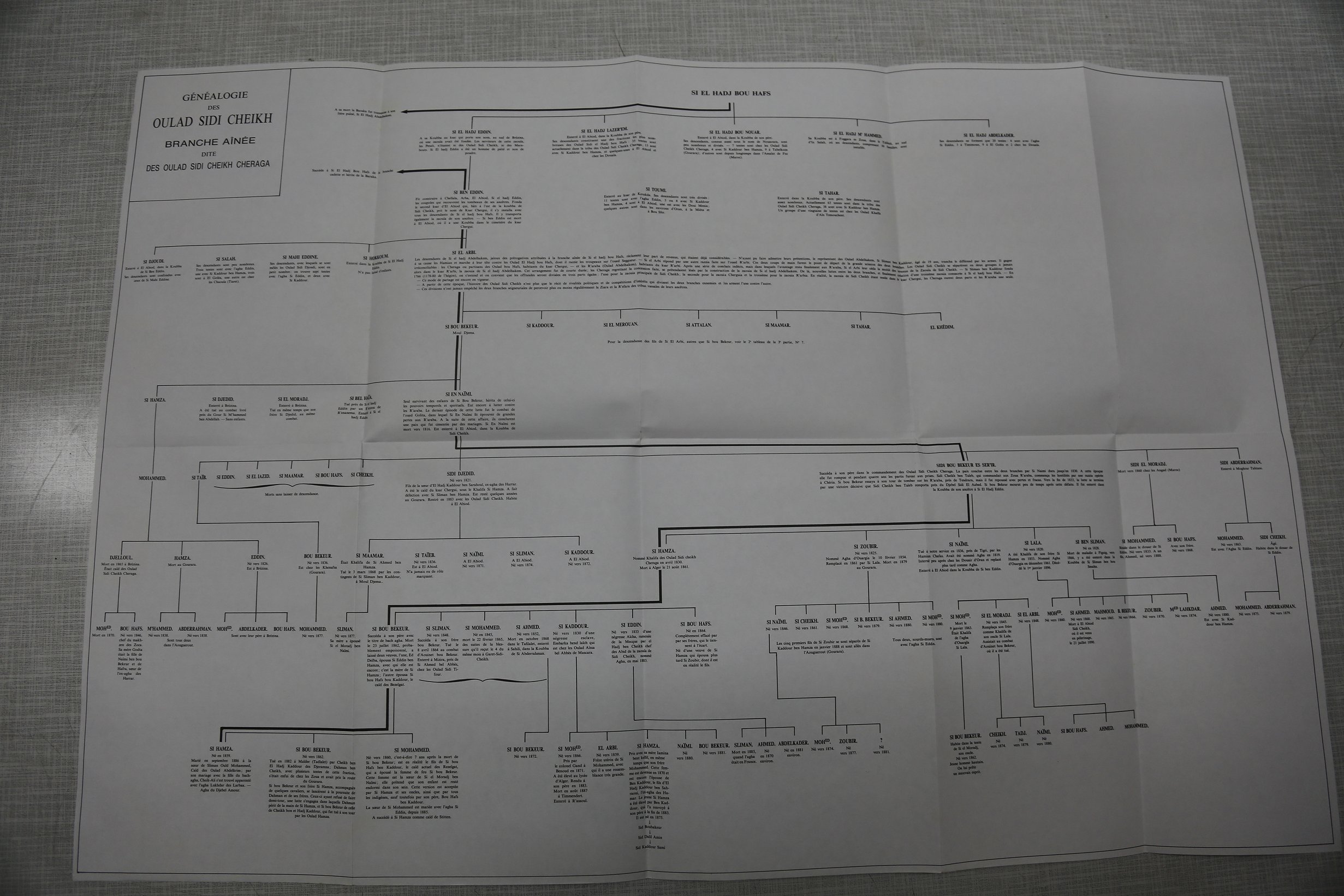 Généalogie des Ouled Sidi Cheikh (Branche ainée) Dite des Oulad Sidi Chikh Cheraga
