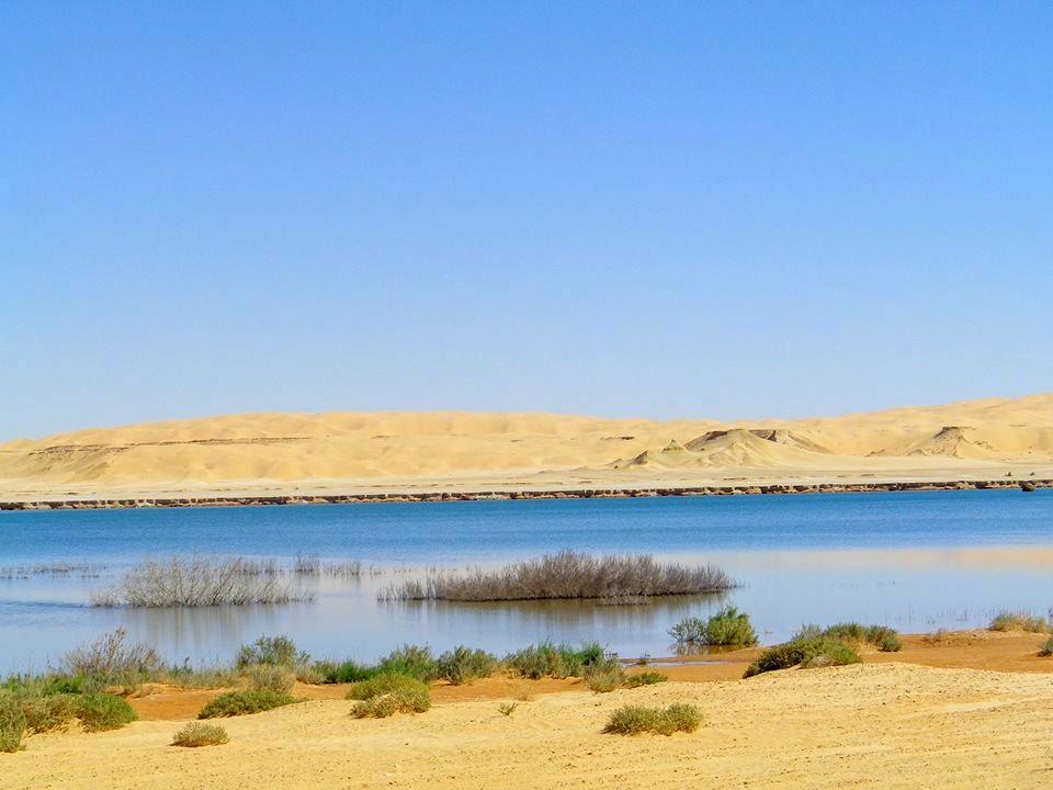 Zone humide d'El Maleh...!