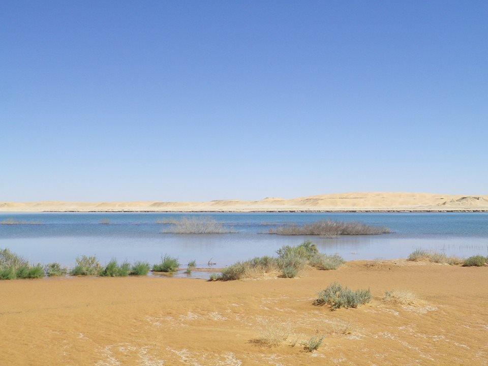 Zone humide d'El Maleh...!