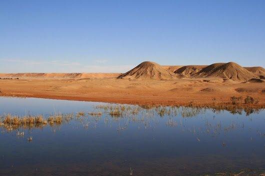 Zone humide d'El Maleh...!