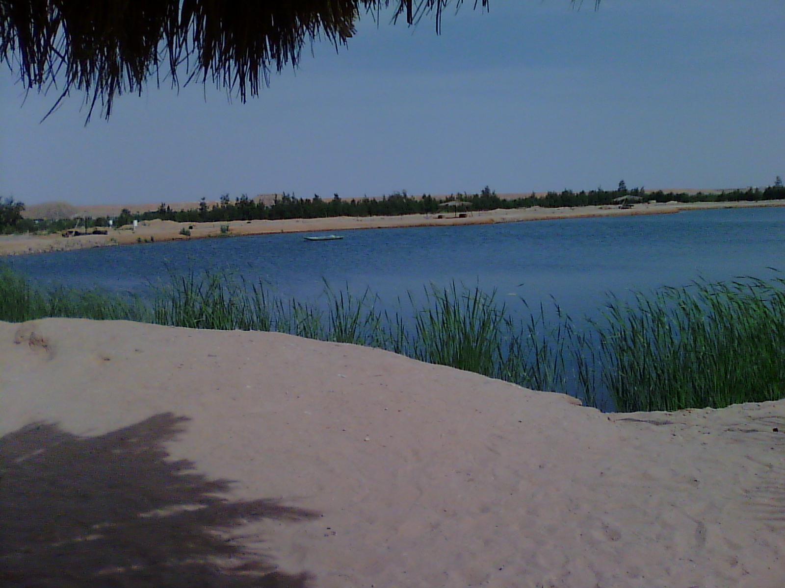 Zone humide d'El Maleh...!