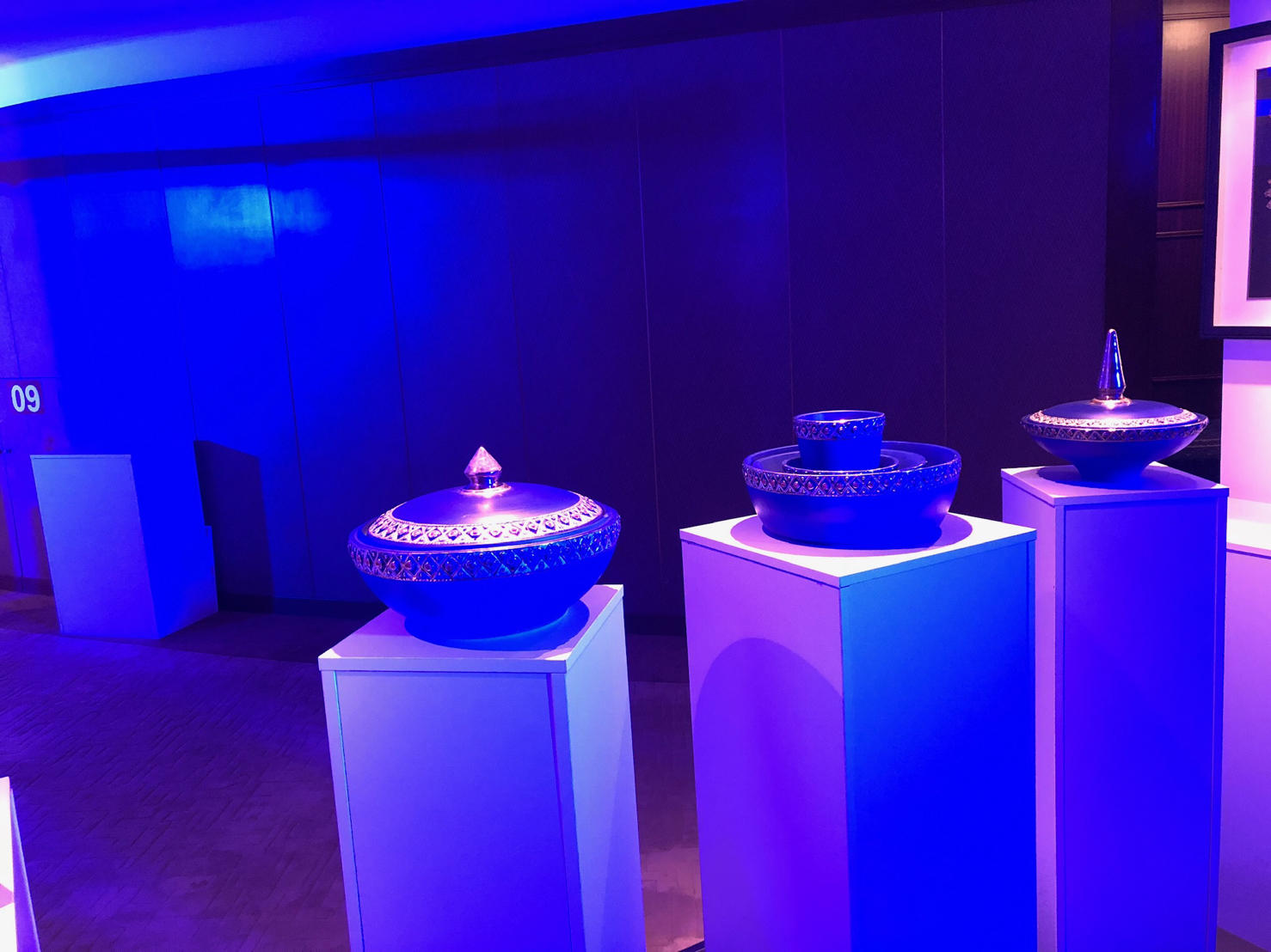 Exposition au palais des nations club des pins Alger le 21 et 22 janvier 2019.