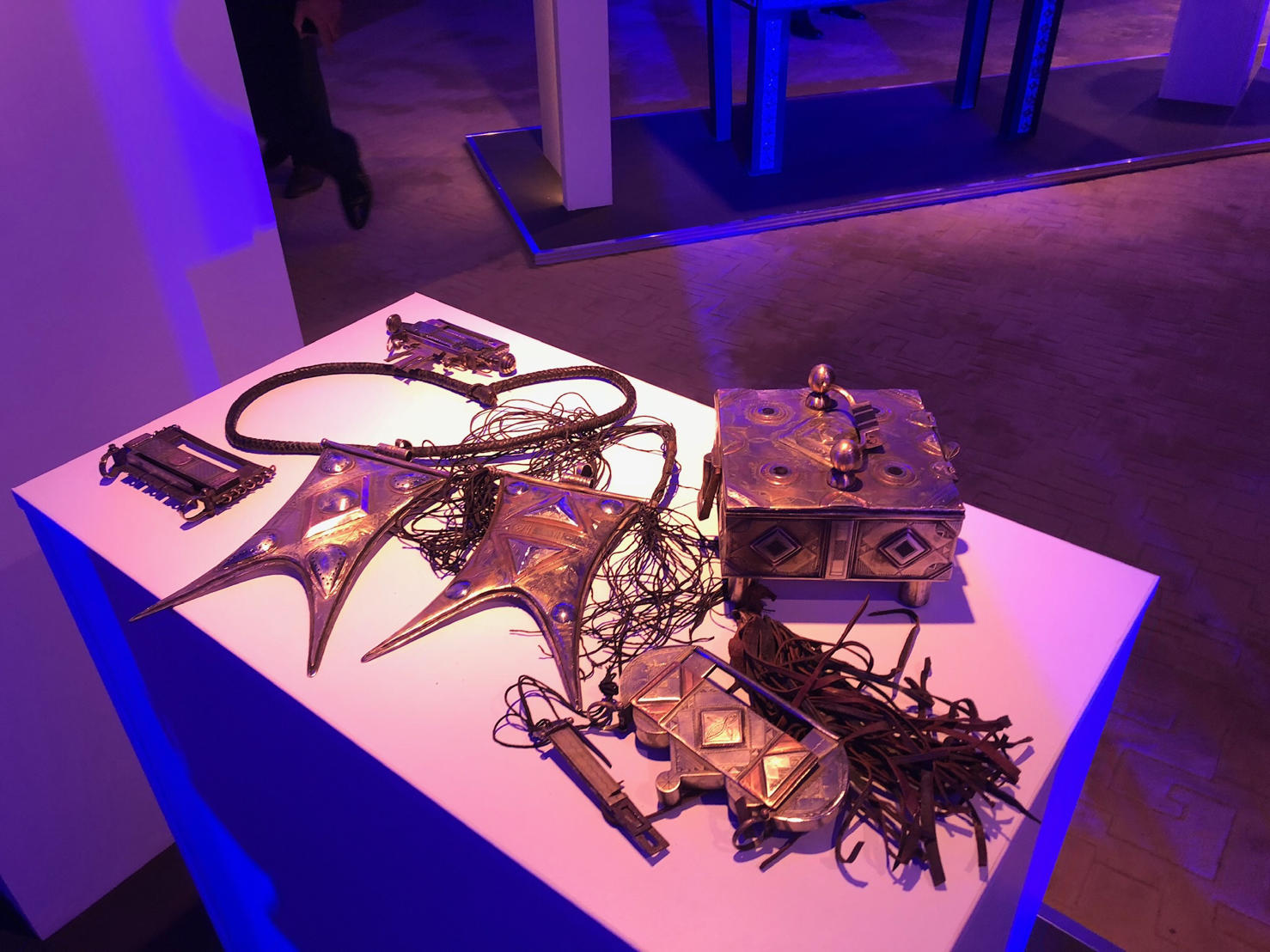 Exposition au palais des nations club des pins Alger le 21 et 22 janvier 2019.