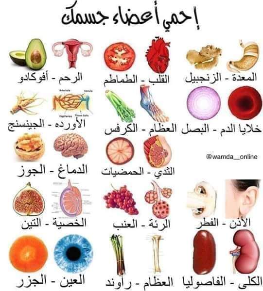 احم كل عضو من جسمك بالغذاء الذي يناسبه