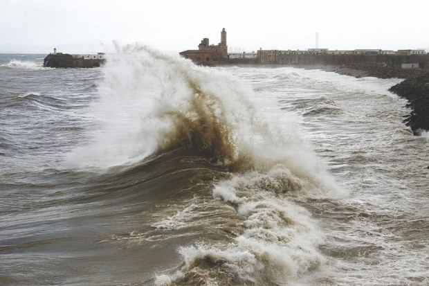 ARRÊT SUR IMAGE: Vu à Alger