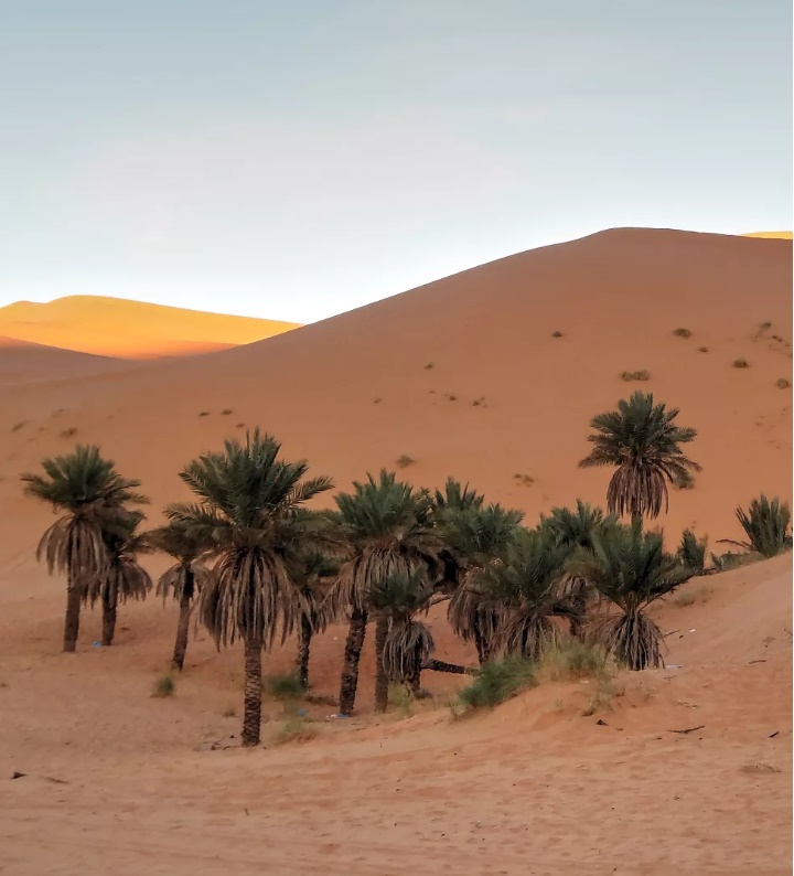 Taghit au mois de janvier...!