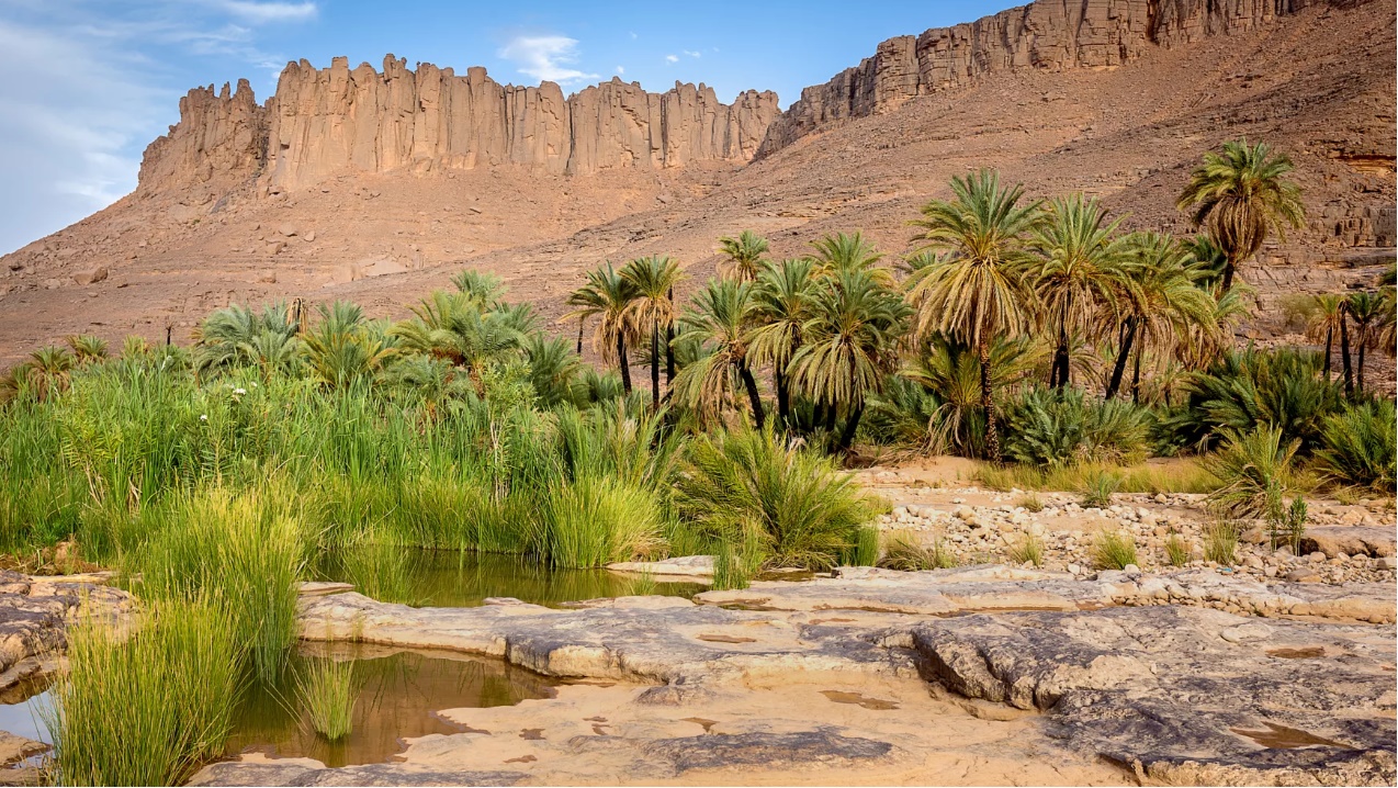 Vallée et Oued Ihrir, illizi....!