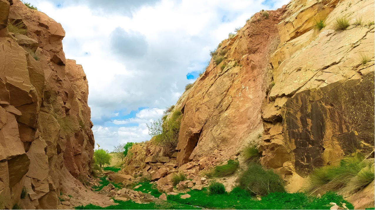 Découverte d’ossements fossiles de trois animaux à Djelfa... !