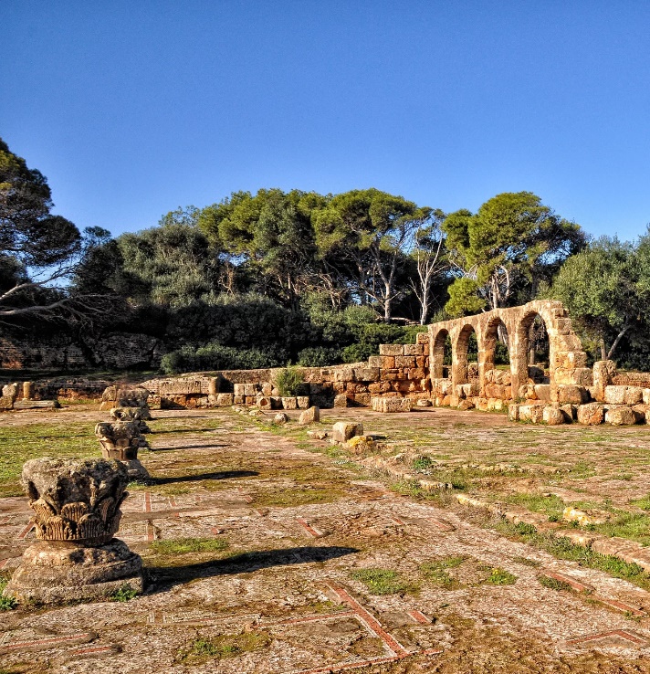 Découverte d’ossements fossiles de trois animaux à Djelfa... !
