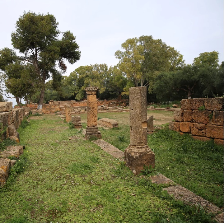 Découverte d’ossements fossiles de trois animaux à Djelfa... !