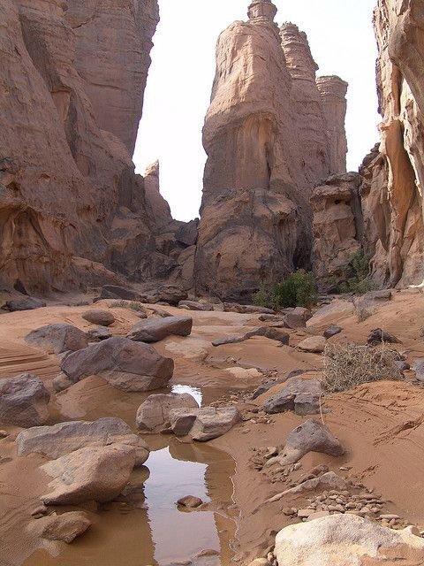 Le #PNC de #Ahaggar, musée à ciel ouvert #Tamanrasse #Sud_Algérie