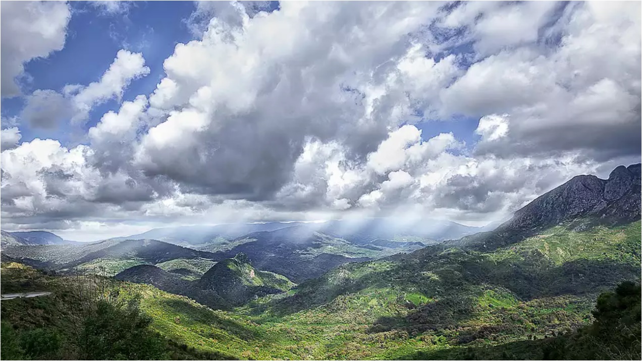 Le Parc National de Taza( PNT) Jijel... !