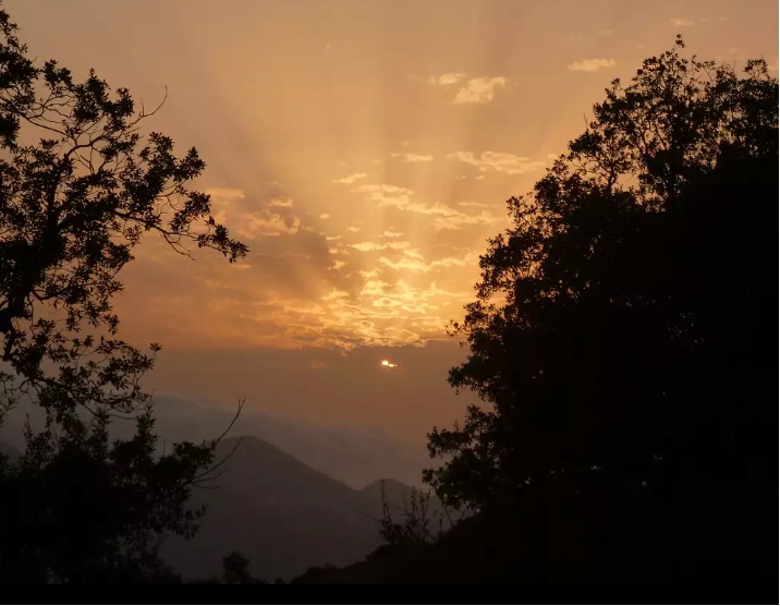 Le Parc National de Taza( PNT) Jijel... !