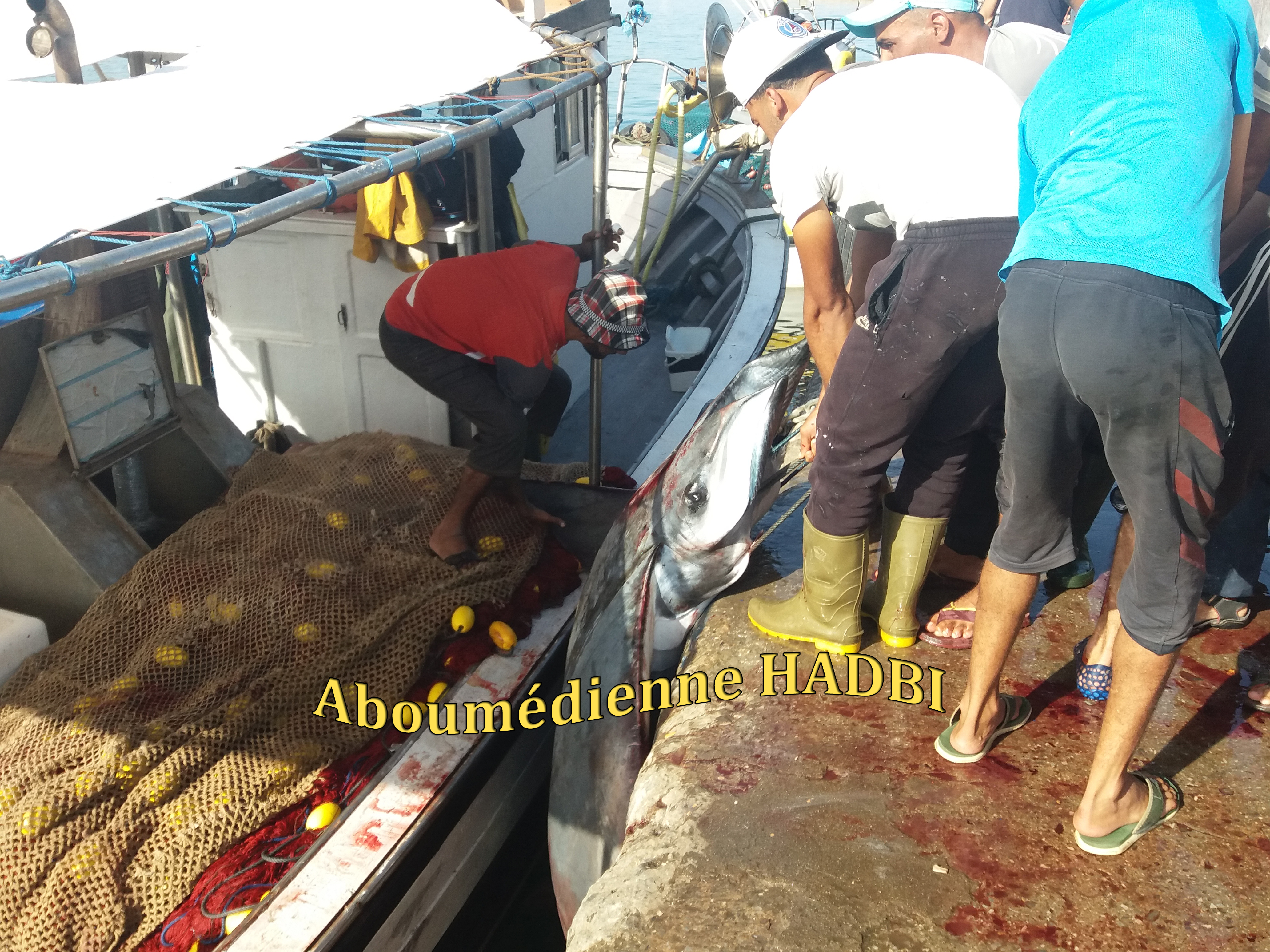 PECHERIE DE GHAZAOUET