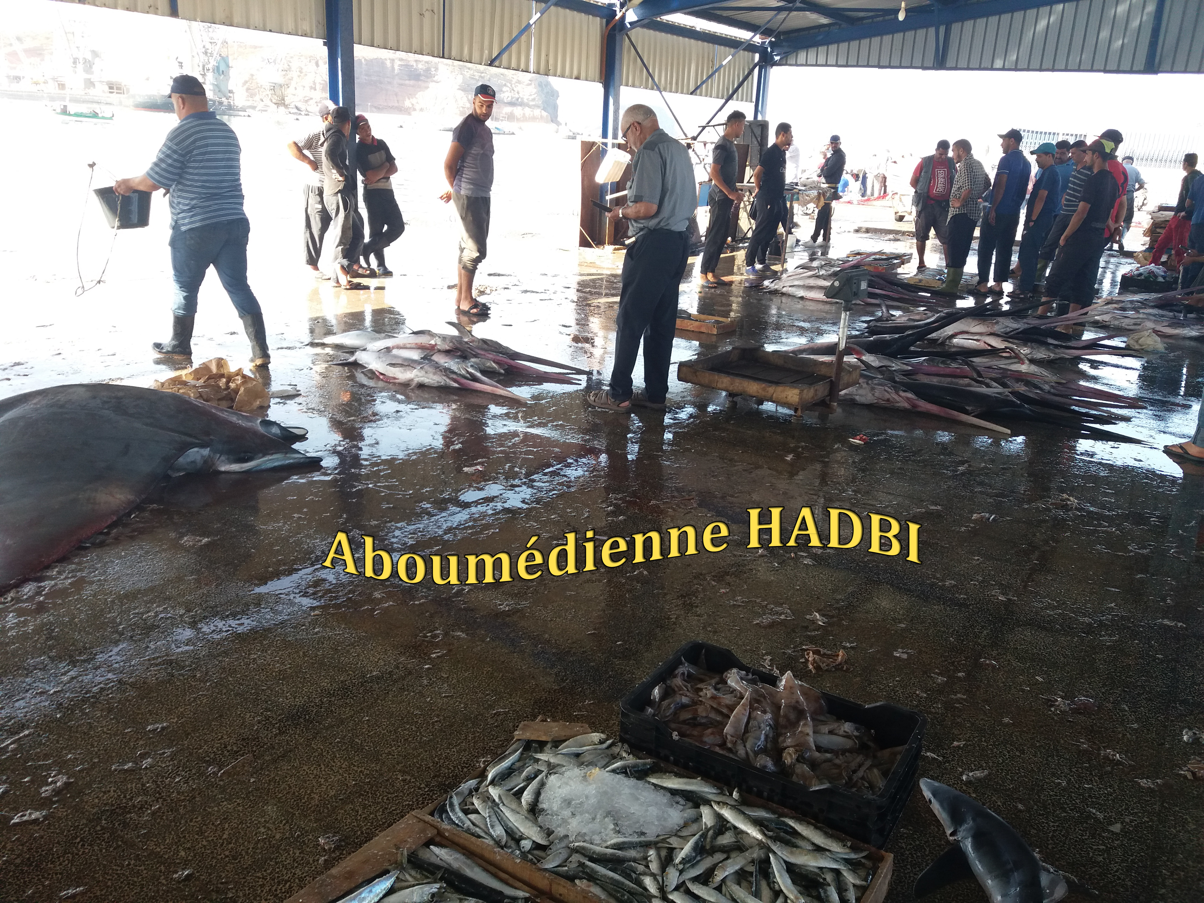 PECHERIE DE GHAZAOUET