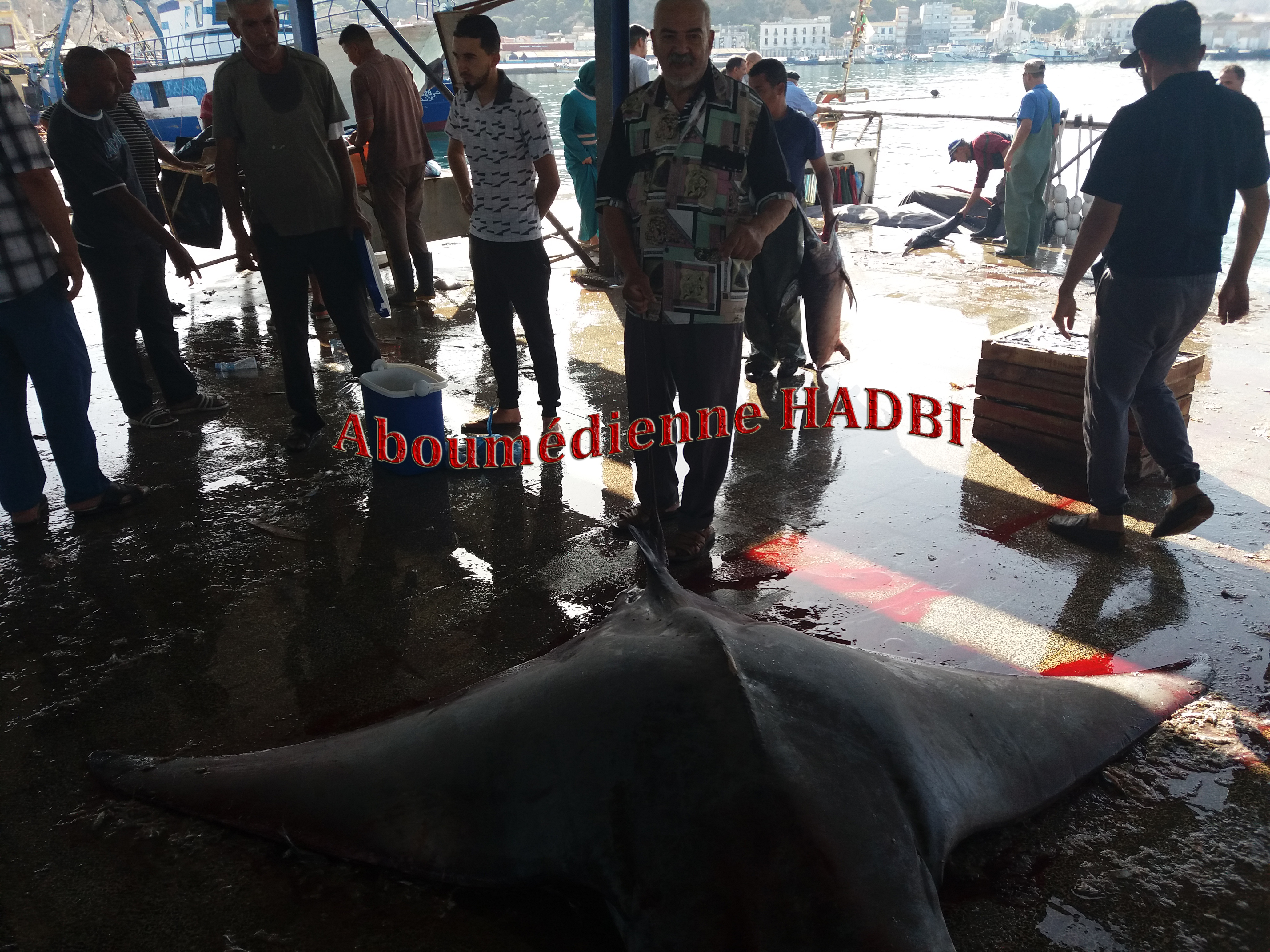 PECHERIE DE GHAZAOUET