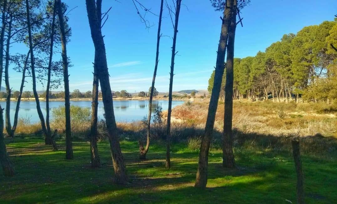 Lac de Sidi Mohamed Benali... !