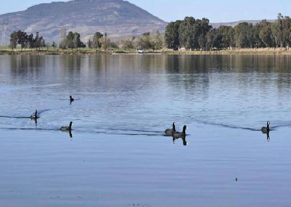 Lac de Sidi Mohamed Benali... !